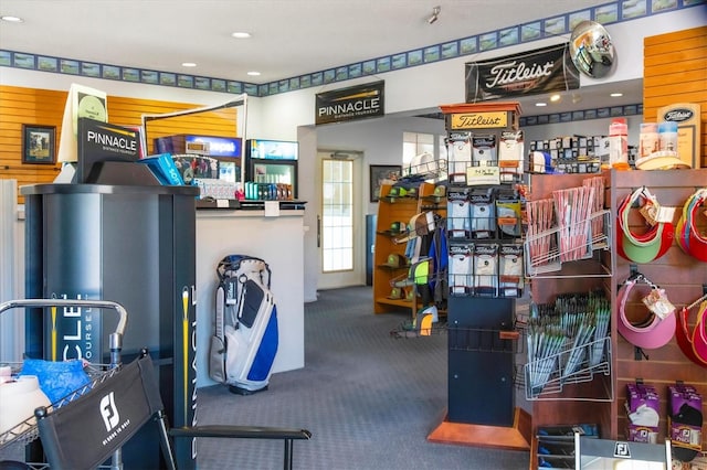 miscellaneous room featuring carpet flooring