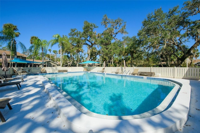 view of pool with a patio area