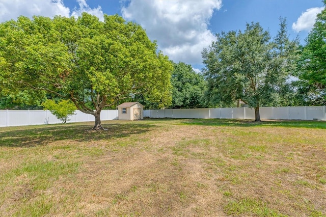 view of yard with a storage unit