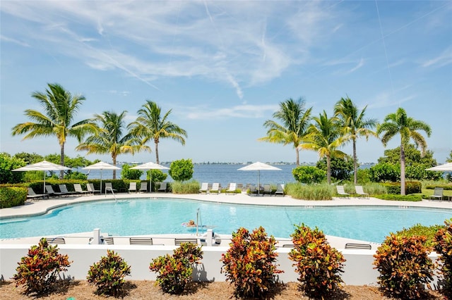 view of pool featuring a patio