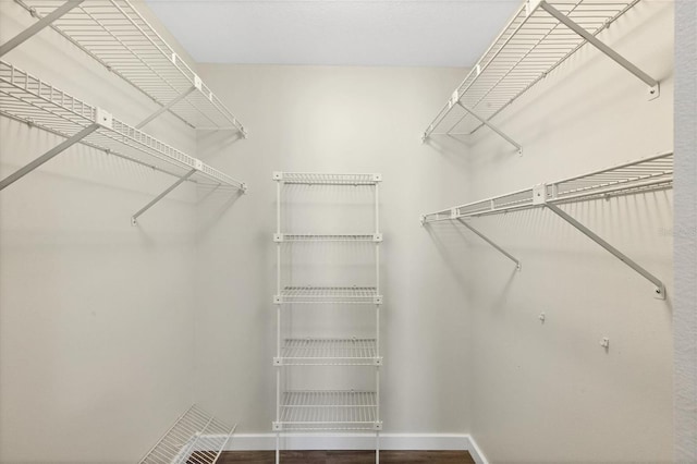 walk in closet with wood finished floors