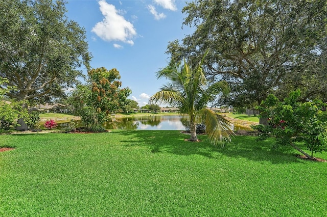 view of yard featuring a water view