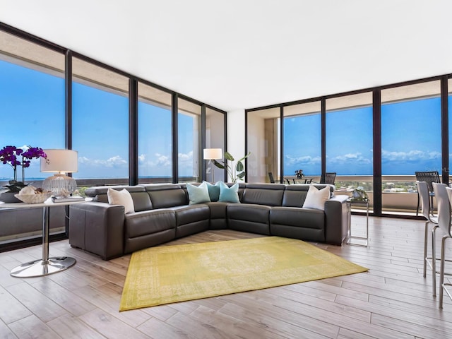 living room featuring floor to ceiling windows