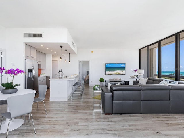 living room with light hardwood / wood-style flooring and floor to ceiling windows