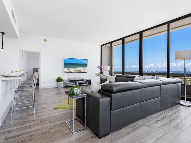 living room featuring a wall of windows and light wood-type flooring