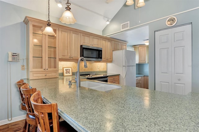 kitchen with stainless steel appliances, backsplash, hanging light fixtures, rail lighting, and sink