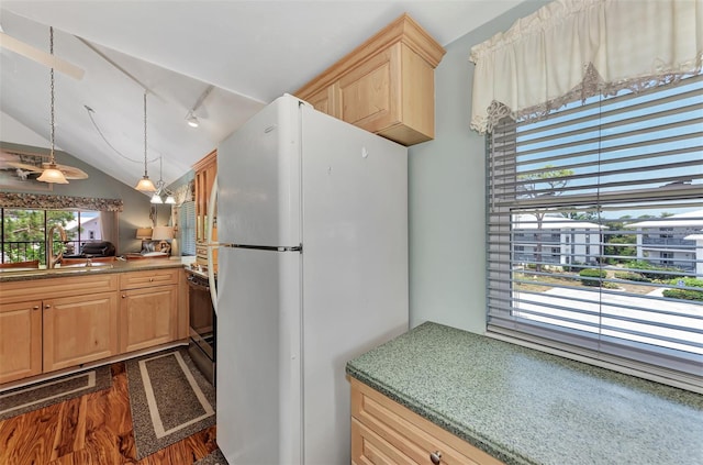 kitchen featuring lofted ceiling, dark hardwood / wood-style floors, pendant lighting, sink, and white fridge