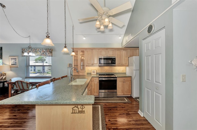 kitchen featuring light brown cabinets, dark hardwood / wood-style flooring, tasteful backsplash, appliances with stainless steel finishes, and sink