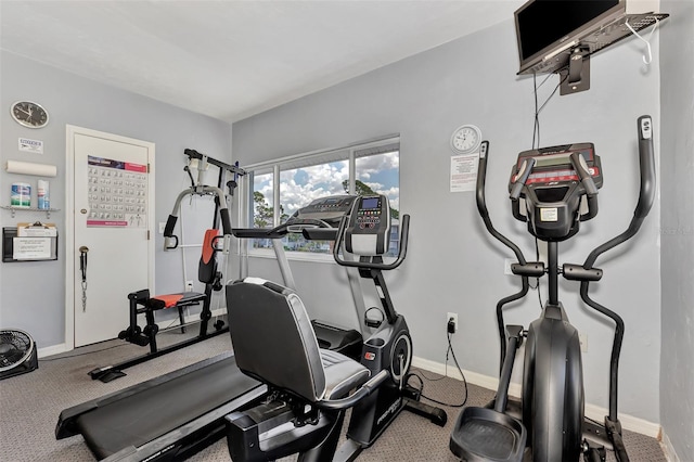 workout room featuring carpet