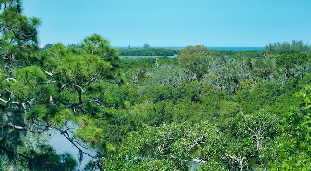 view of local wilderness with a water view