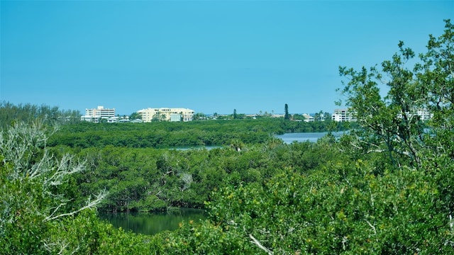 view of local wilderness with a water view