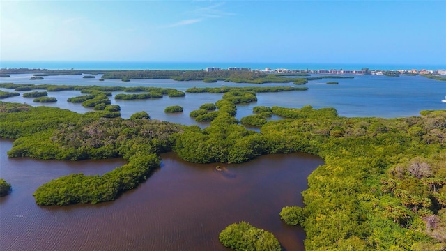 bird's eye view with a water view