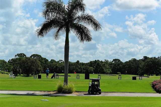 view of community featuring a lawn