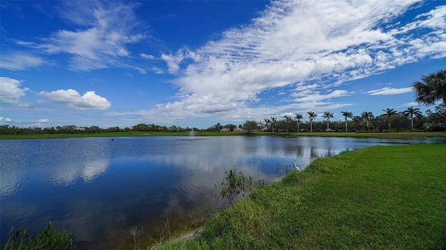 property view of water