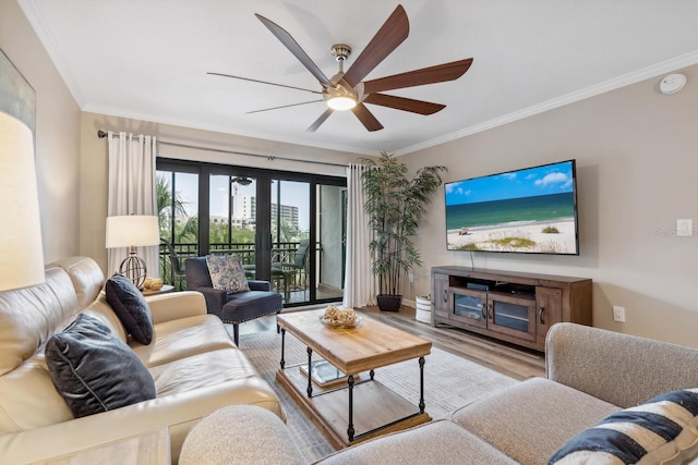 living room featuring ceiling fan, light hardwood / wood-style floors, and crown molding