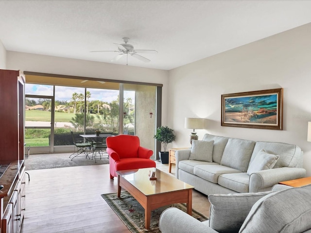 living room with light hardwood / wood-style floors and ceiling fan