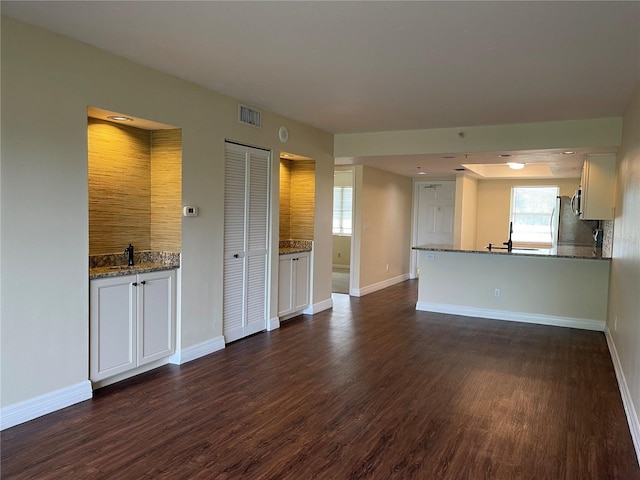 unfurnished living room with sink and dark wood-type flooring