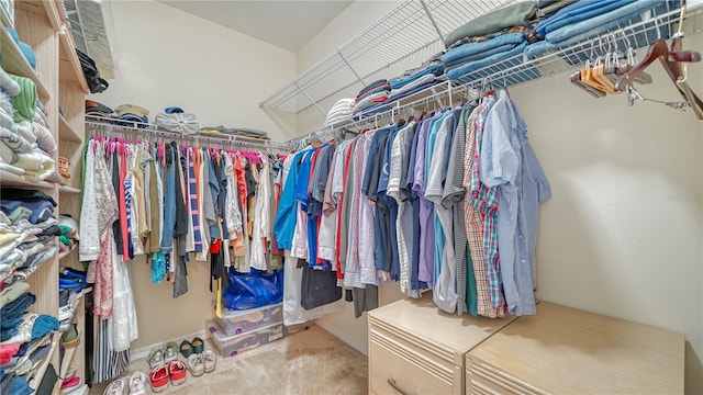 spacious closet featuring carpet floors