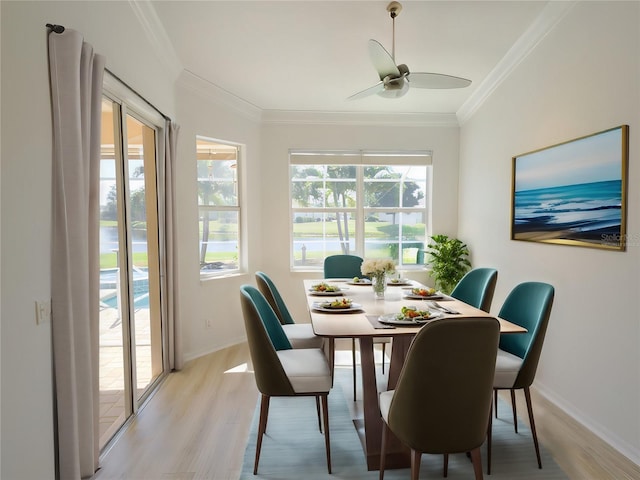 dining space featuring light wood finished floors, ornamental molding, baseboards, and a healthy amount of sunlight