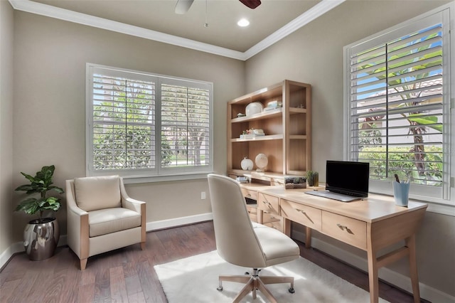 home office with dark hardwood / wood-style flooring, ceiling fan, and crown molding