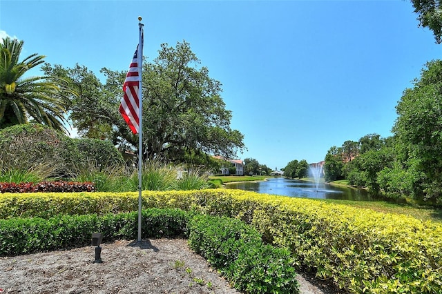 view of property's community with a water view