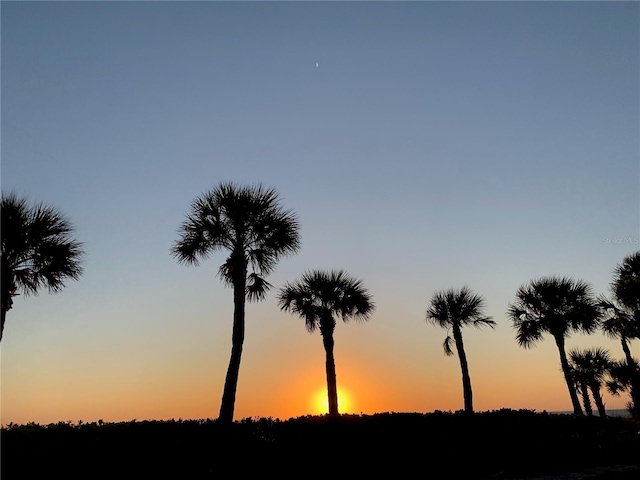 view of nature at dusk