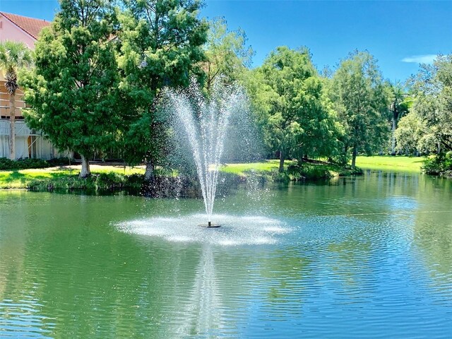 view of water feature