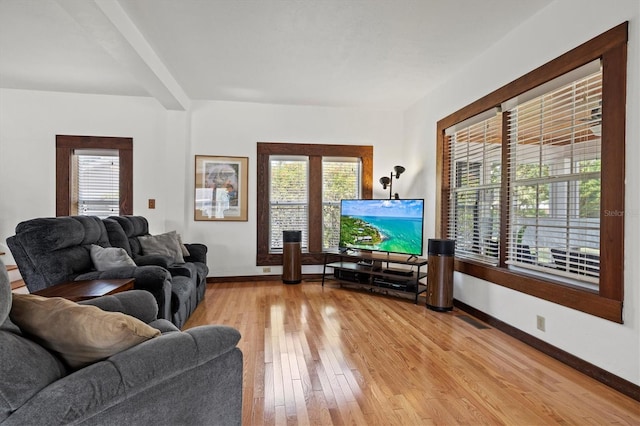 living room with light hardwood / wood-style floors and a healthy amount of sunlight