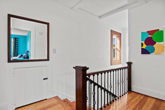 staircase with wood-type flooring