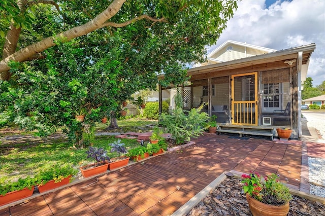 view of patio / terrace with a sunroom