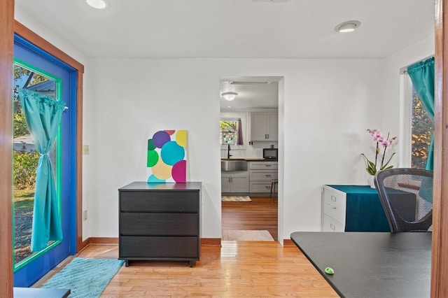 interior space with sink and light hardwood / wood-style floors