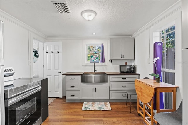 kitchen featuring crown molding, a textured ceiling, stainless steel electric range, sink, and gray cabinets