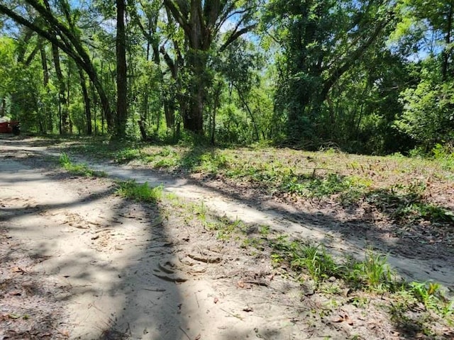 Listing photo 2 for 147th Rd, Live Oak FL 32060