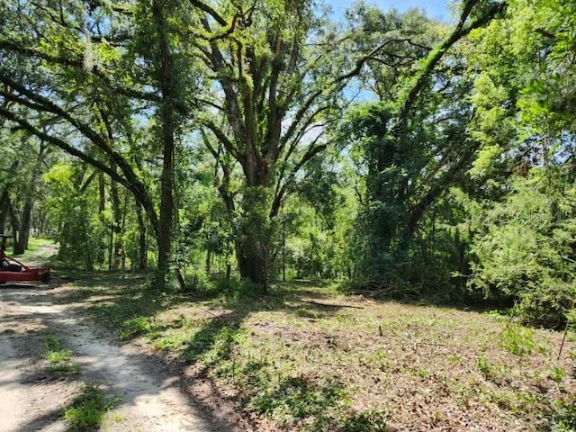 Listing photo 3 for 147th Rd, Live Oak FL 32060