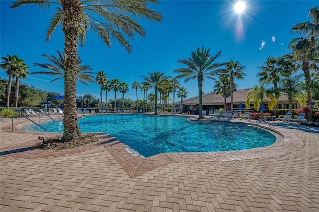 view of swimming pool with a patio