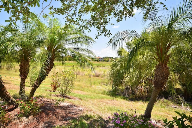 view of landscape