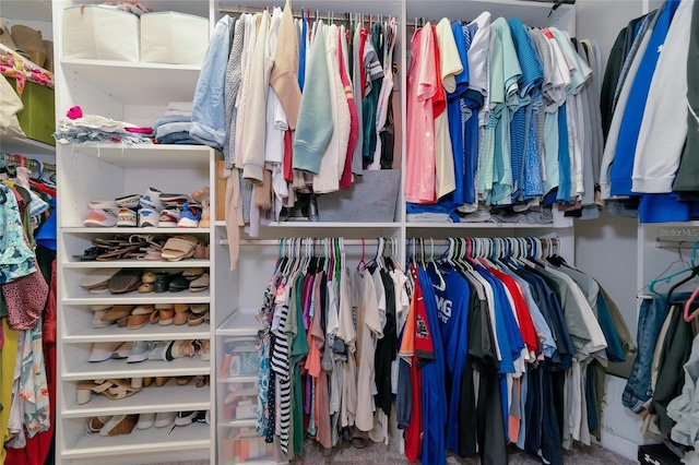 spacious closet with carpet flooring