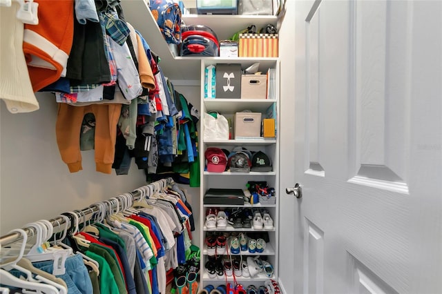 view of walk in closet