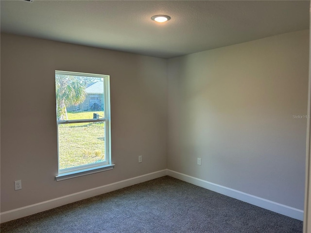 unfurnished room featuring carpet floors and a healthy amount of sunlight