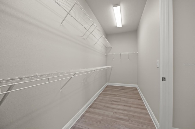 walk in closet with wood-type flooring