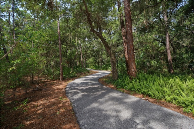 view of road