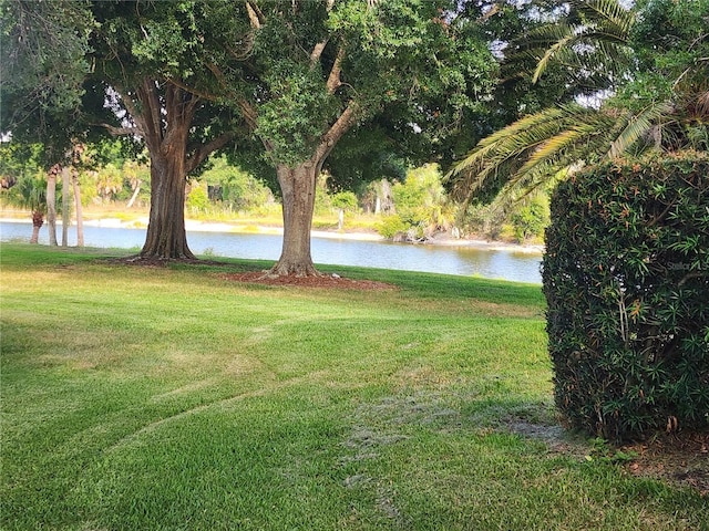 view of yard with a water view