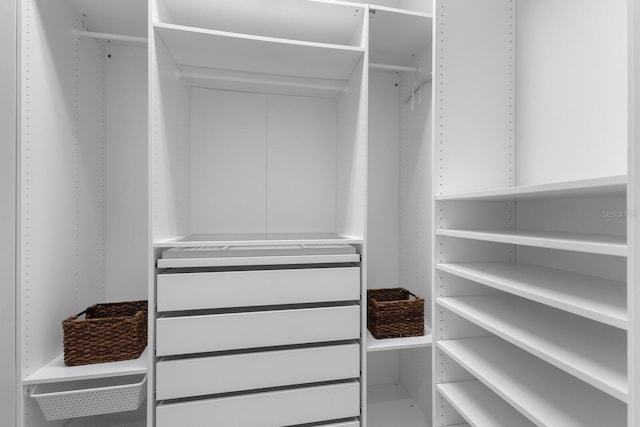 view of walk in closet