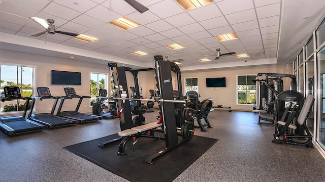 exercise room with a paneled ceiling, ceiling fan, and a healthy amount of sunlight