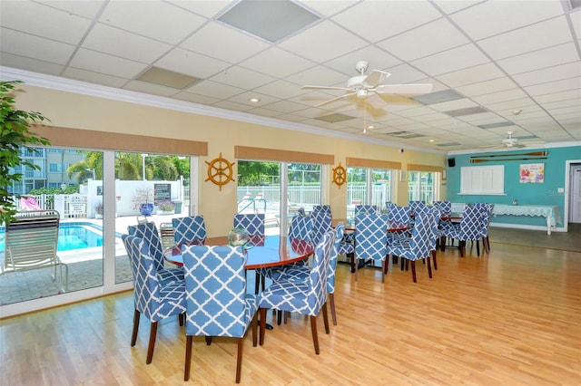 dining space featuring a ceiling fan, ornamental molding, a drop ceiling, and wood finished floors