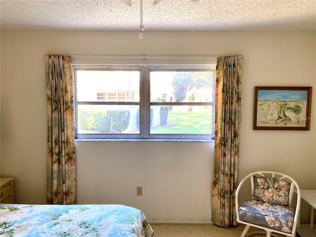 bedroom with carpet floors and a textured ceiling