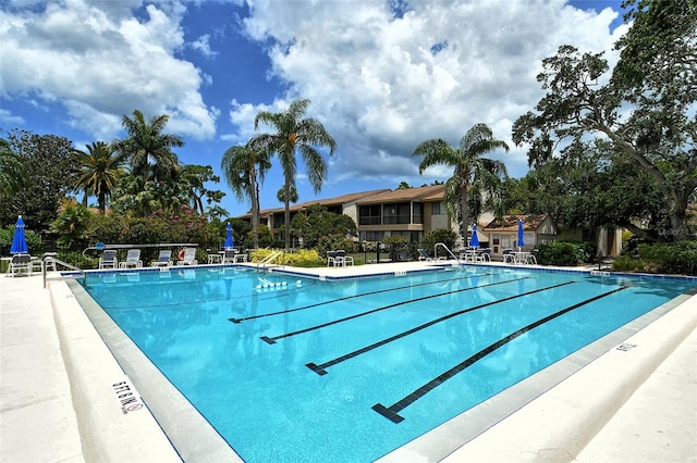 view of swimming pool