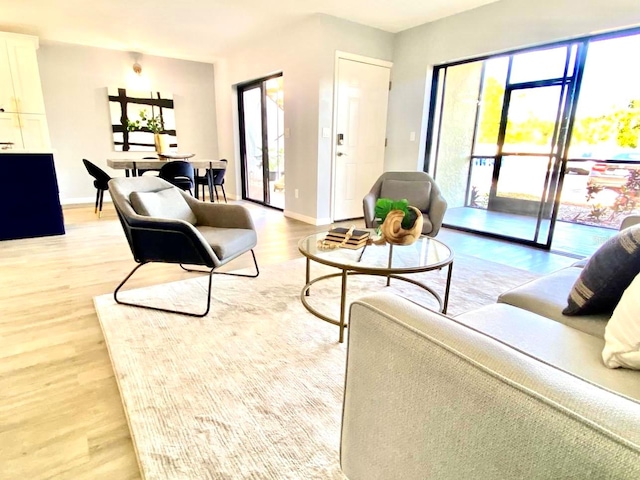 living room featuring light hardwood / wood-style floors