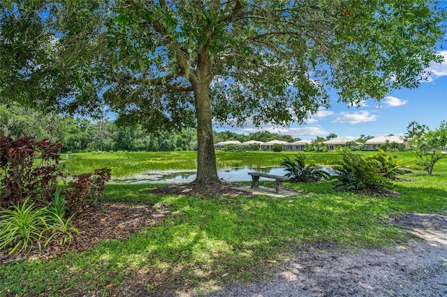 view of yard with a water view