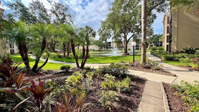 view of community with a water view and a yard